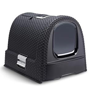 Curver petlife Katzentoilette mit Deckel, Katzenklo inklusive Schaufel, moderne Rattangeflecht-Optik, anthrazit, 51, 5 x 38, 5 x 40 cm