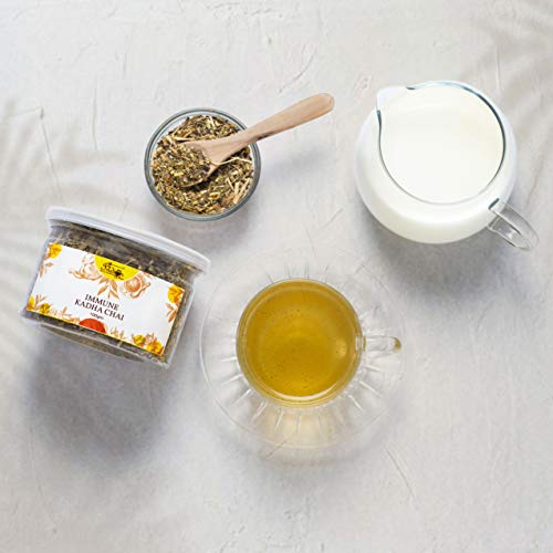 Image of The Indian Chai - ImmunE Kadha Herbal Blend 100g | 14 Ayurvedic Herbs | NO TEA LEAVES ADDED | Caffeine-Free Kadha Infusion for Daily Wellness