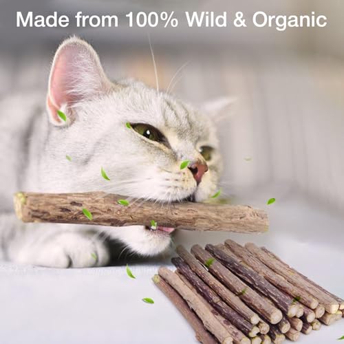 Image of 10PCS Natural Silvervine Sticks | Matatabi Catnip Dental Sticks Cat | Indoor Chew Toys | Wooden Engaging Stick for Teeth Cleaning | Edible Kitty Toys | Teeth Molar Tool | Cat Treat Toy