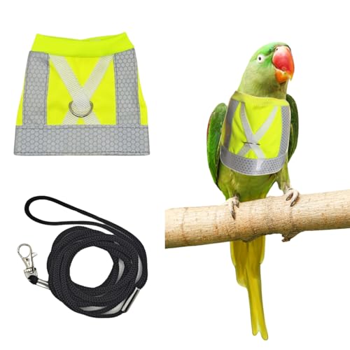 Bird Harness and Leash - Adjustable Parrot Training Flight Harness Vest with Reflective Strip Nylon Training Rope for Medium Large Bird Parrot Cockatiel Monk Parakeet Sun Conure (L)