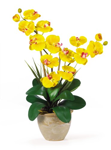 Double Stem Phalaenopsis Silk Orchid Arrangement