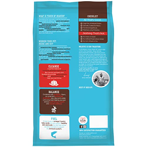 Solid Gold Dry Kitten Food - Made With Real Chicken And Sweet Potato - Touch Of Heaven Grain Free Dry Cat Food For Kittens - Natural Support For Bone, Joint And Immune System Development #TOP1