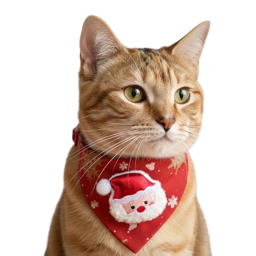 L̃o_i - Ԓ??p\ȃRtH[go_iAꂪȒPȐñNX}XL̎ |NX}XL̈ߑƑ̏W܂̎ʐ^Bep[eB[[vCptH[}X߉\ȔL̂j̎