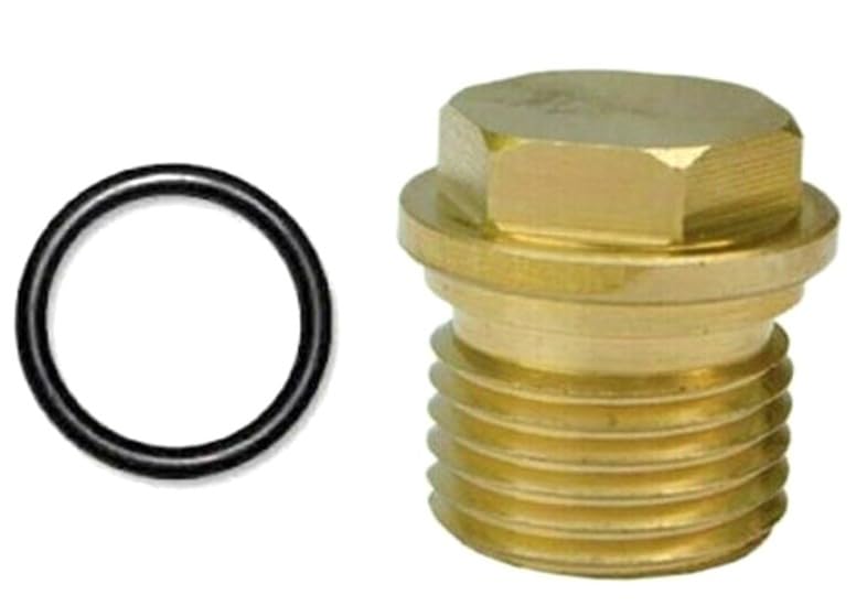 PARTSDEPOT Genuine AR Check Valve Cap Compatible with Annovi Reverberi RMV, SRMV, RMW and SRMW Pumps Between 2800 and 3000 PSI