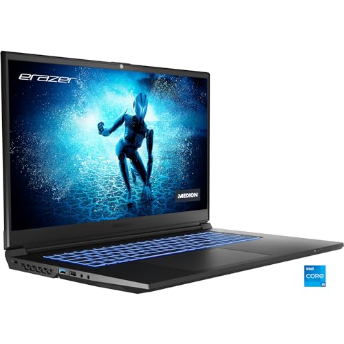Preisvergleich Produktbild MEDION Erazer Special. P10 i5 16 N W11H 30033918