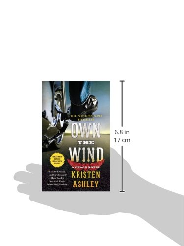 Own the Wind: A Chaos Novel
