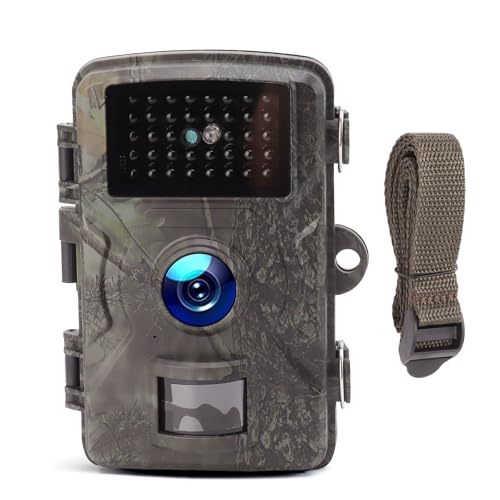 Fotocamera da Trail, Schermo a Colori 1080P 16MP, Rilevamento del