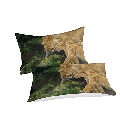 Housse de couette lion 3D lit simple microfibre douce 3 pièces - 3