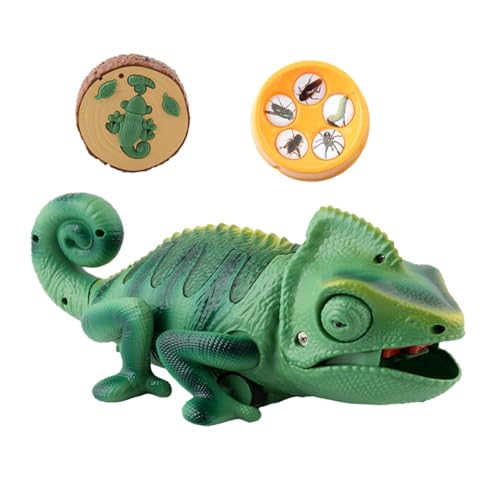 TOYANDONA dRƖ঍sJI ̂ gJQɉa Green