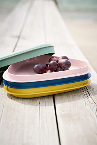 Light My Fire Set Piatti Campeggio 4 Colori