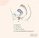 Efemia Bladder Support für Frauen Starterset – Vaginaltampon, reduziert Harnverlust und Belastungsinkontinenz bzw den ungewollten Urinaustritt beim Husten, Lachen, Niesen, Sport, ø 30, 35 und 40 mm