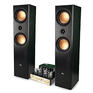 Evidence Acoustics Paire d’enceintes HiFi/Home-Cinéma EA800-PG – 2x500W PMPO, Amplificateur à Tube, EA-50TUBE-BT stéréo Vintage - Les Beatles, Paul McCartney, John Lennon, RIngo Starr, George Harrison