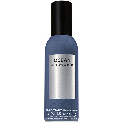 Bath and Body Works Concentrated Room Spray Mens Collection (Ocean)
