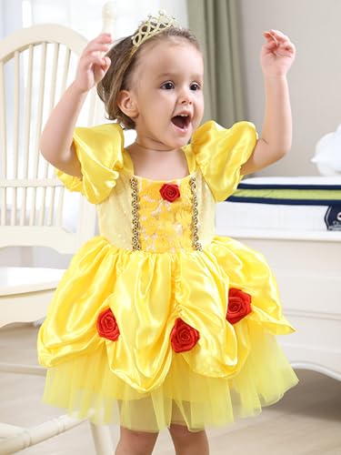 Toddlers Girls Dress Short Puffy Sleeves Lace Rose Accent Ruffled Tulle Skirt Soft Infant Halloween Christmas4