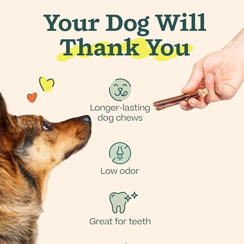 WOOF BullySafe e Bully Sticks – Bastões de mastigar nutritivos para cães e suporte de bastão para br