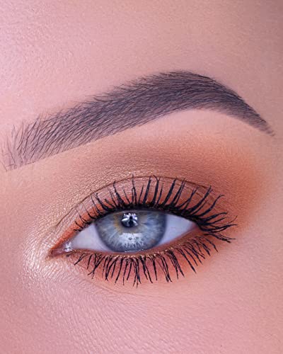 Thebalm Fun Guy Eyeshadow Palette- Vol 1 #TOP3