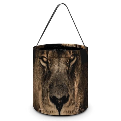 nEB LfBoXPbg AtJ CI  ʐ^ LfB َq Rei 񂰑 y p[eB[LOi v[g OWp