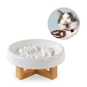 Ceramic Cat Feeder Bowl with Stand, Slow Eating, Healthy Diet, 8.4x3x8.4 inches, 2.0 lbs, Medium, All Life Stages, Bone-White, Feeder for Indoor Pets