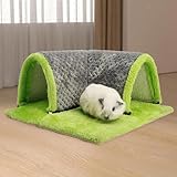 Casa de roedores, tienda de campaña para mascotas pequeñas, tienda de campaña para animales, ratones, cobayas, entretenimiento para mascotas