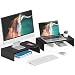 FITUEYES Computer Monitor Riser Stand Clamp Desktop Stand Workspace Organizer 2-Pack DT104202WB