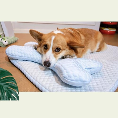 LpN[xbh,p}bg X[sOpbh | ϖՐybgpx}bg tA rO \t@ ԓp