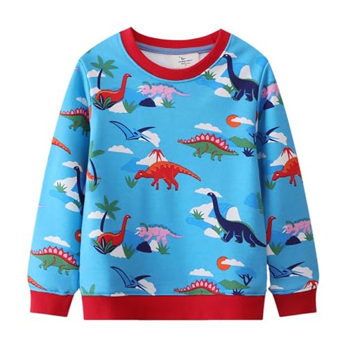 Boys Sweatshirts Casual Sweatshirts Cotton Sweatshirts Long Sleeve T-shirts Crew Neck Cartoon Tops for Boys-771