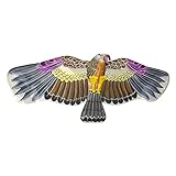 G&Z Mini Chinese Silk Eagle Kite with Gift Box