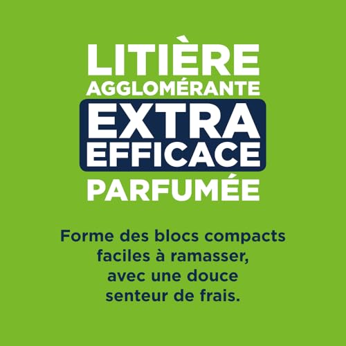 Ever Clean Extra Strong Clumping Scented évite les mauvaises odeurs de litière chat