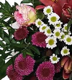 Blumenstrauß mit echten Blumen Muttertag mit Flora Trans versenden - zum Geburtstag - Lieferung 1-2 WERKTAGE