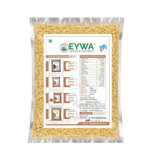 Image of Organic Khapli Wheat Grains Seeds (5 Kgs) | Khapli Gehu Ka Seeds | For Farming, Sowing & Agriculture Use | Produce of India | 100% Natural & Non-GMO | By Eywa