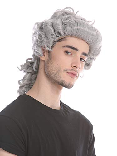 WIG ME UP - 91019-ZA68E Perruque Homme Femme Carnaval Halloween Baroque Renaissance Gris nattes Gentilhomme Noble Lord