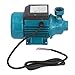 Water Pump, Submersible Single Brass,Submersible Single Brass Pressurized Solar,Water Pump Impeller Motor Horizontal Single Suction Irrigation Tool 15M 180W Dc12v