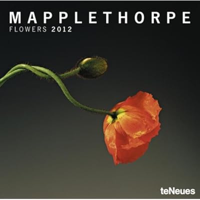 2012 Mapplethorpe Grid Calendar