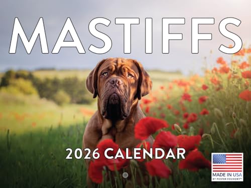 Mastiff Calendar 2026 Wall 12 Month Monthly Mastiffs Gifts For Mastiff Lovers Women Men Mom Dad | American Made In The USA