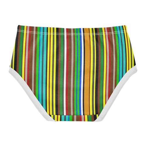 Joisal Cotton Toddler Underwear Floral Chic Colorful Stripes Little Girl Panties Designer Undies Kids Briefs 2t2
