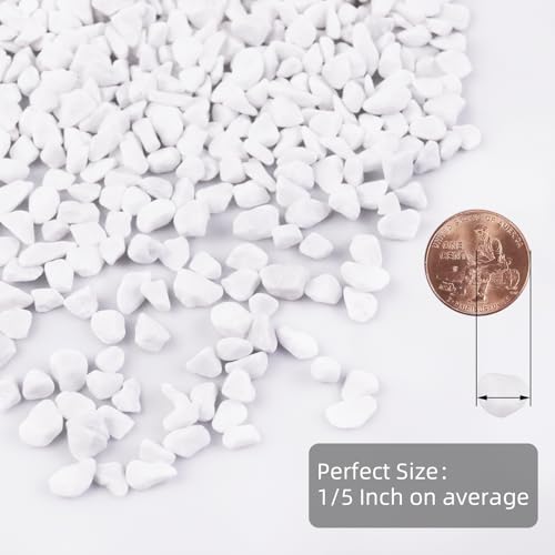 Image of 5lb River Rocks Polished Silica Gravel for Plants Garden, Decorative Pebbles Ideal for Fish Tank, Vases, Succulents, Crafting, Home Decor and Garden Landscaping, Snow White(0.2-0.3 inch)
