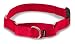 PetSafe Martingale Dog Collar with Quick-Snap Buckle - Petite, 3/8 Inch, Red