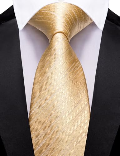 Image of Barry.Wang Silk Men Ties Formal Stripes Necktie and Tie Clip for Wedding Party Business Fashion Classic