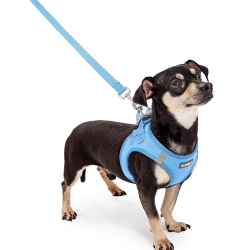 Image of rabbitgoo Dog Harness Small Sized and Leash Set, Step-in Puppy Pet Vest