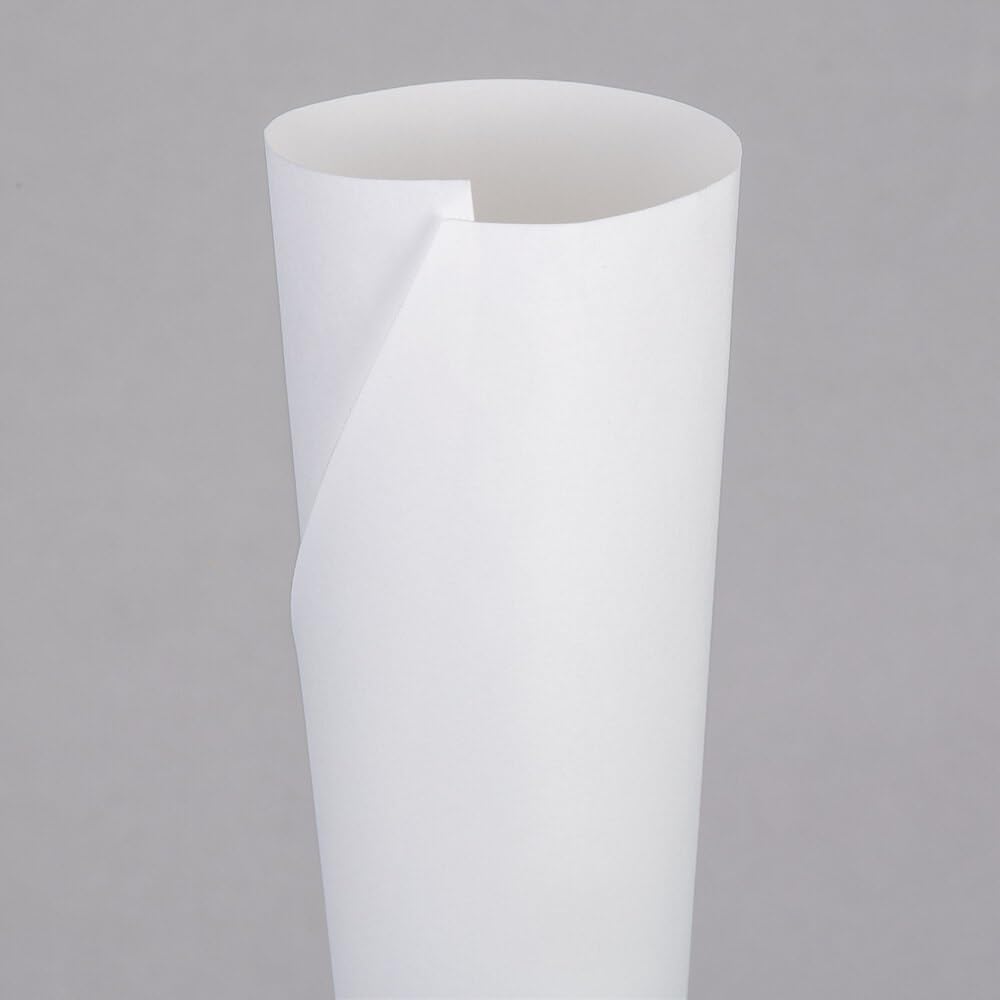 OCS Parts 1000-Count Cotton Candy Cones | Heavy Duty Cotton Candy Cones with Reinforced Handle for Parties, Carnivals, Fairs and Events