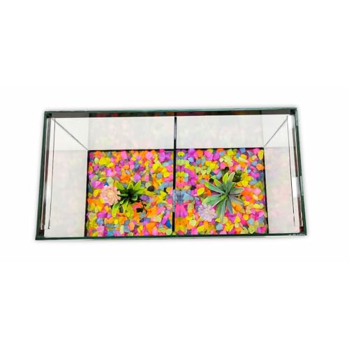 Aquário N3 Duplo Com Divisão Decorado 30x15x20 8,5l 2 Peixes (Preto)