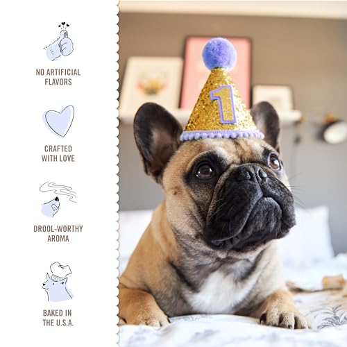 Three Dog Bakery Birthday Confetti Lick\'n Crunch 13 Ounce (Pack of 1)