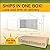 New Yard Carport, Heavy Duty Carport with Roll-Up Door & Removable Sidewalls, Portable Garage for Car, Truck, Boat, All-Season Car Canopy in Reflective White (12x20)