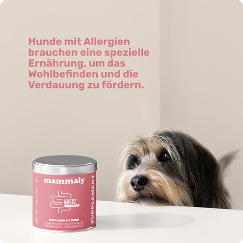 9-in-1 Probiotika für Deinen Hund - Lucky Belly Hypoallergen Allergie Fit ohne Huhn 120 Drops (350g) von mammaly-Bei Magenprobleme & Verdauungsprobleme für Magen-Darm,Verdauungssnacks bei Gras fressen