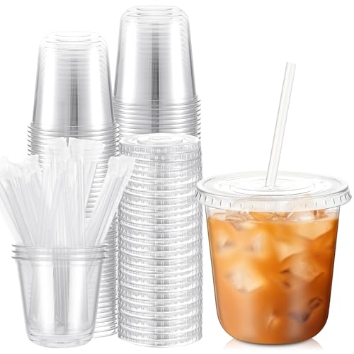 Ziliny 25 Sets Clear Plastic Cups with Lids and Straws Disposable Iced Coffee Cups for Drinking Cold Drinks Juice Smoothie Pet Cup for Coffee Shops Party Christmas (10 oz)