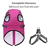 Dog Jacket with Harness, Waterproof Winter Coat for Small to Large Dogs, Warm Coat for Chihuahua to Labrador - Image 2