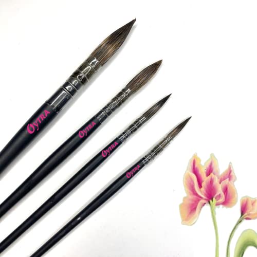 Image of Oytra Mop Brush 4 Pcs Set for Artists Painting Calligraphy Watercolor Quill Oil Acrylics with Wooden Handle Vegan Soft Bristles
