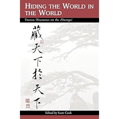 Hiding the World in the World