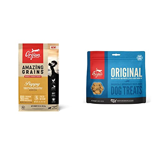 Your Ultimate Guide to Choosing the Best Orijen Puppy Dog Food Top 10