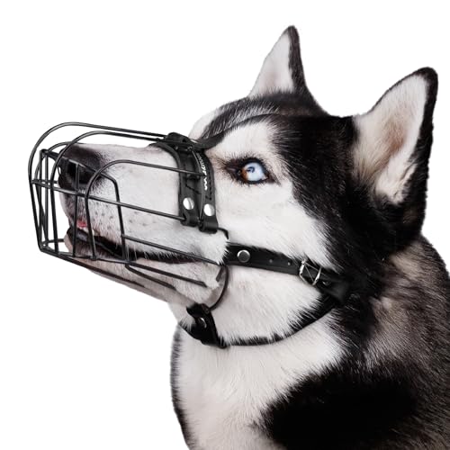 BRONZEDOG Hundemaulkorb Verstellbar Robustes PVC/Metalldrahtkorb für Große und Sehr Große Hunde mit Lederbändern Atmungsaktiv, Trinkfähig, Training, Verhindert Beißen (Husky & Doberman, PVC)